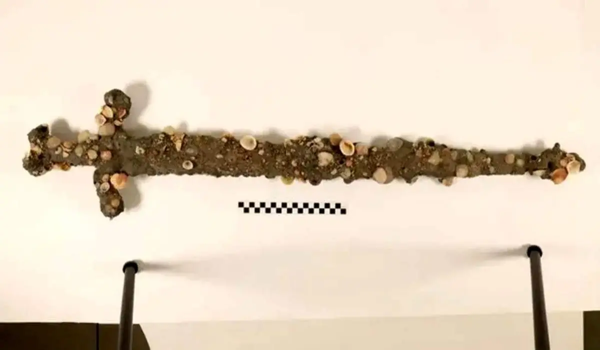 شمشیر ۸۰۰ ساله اتفاقی هنگام شنا در دریا کشف شد 