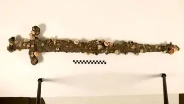 شمشیر ۸۰۰ ساله اتفاقی هنگام شنا در دریا کشف شد 