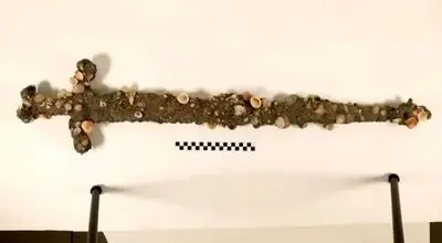 شمشیر ۸۰۰ ساله اتفاقی هنگام شنا در دریا کشف شد 