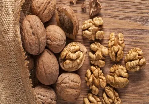 قدرت مغز گردو برای سلامتی را دست‌کم نگیرید
