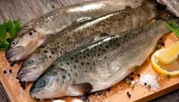  خطرات ناشی از مصرف ماهی های آلوده