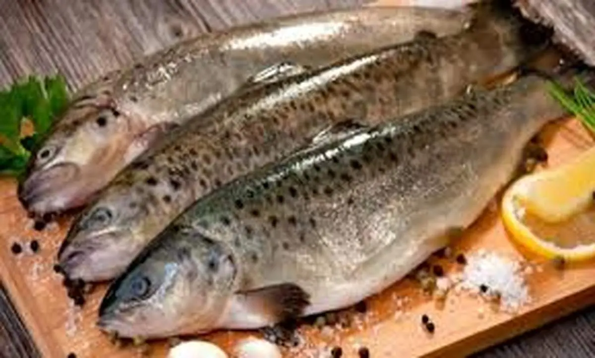  خطرات ناشی از مصرف ماهی های آلوده