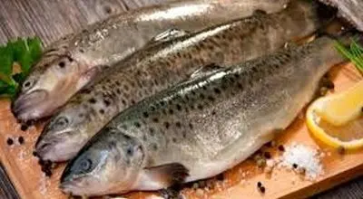  خطرات ناشی از مصرف ماهی های آلوده