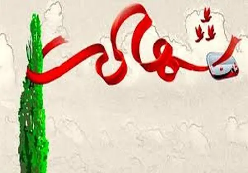 مأمور نیروی انتظامی در بویراحمد حین انجام وظیفه به شهادت رسید