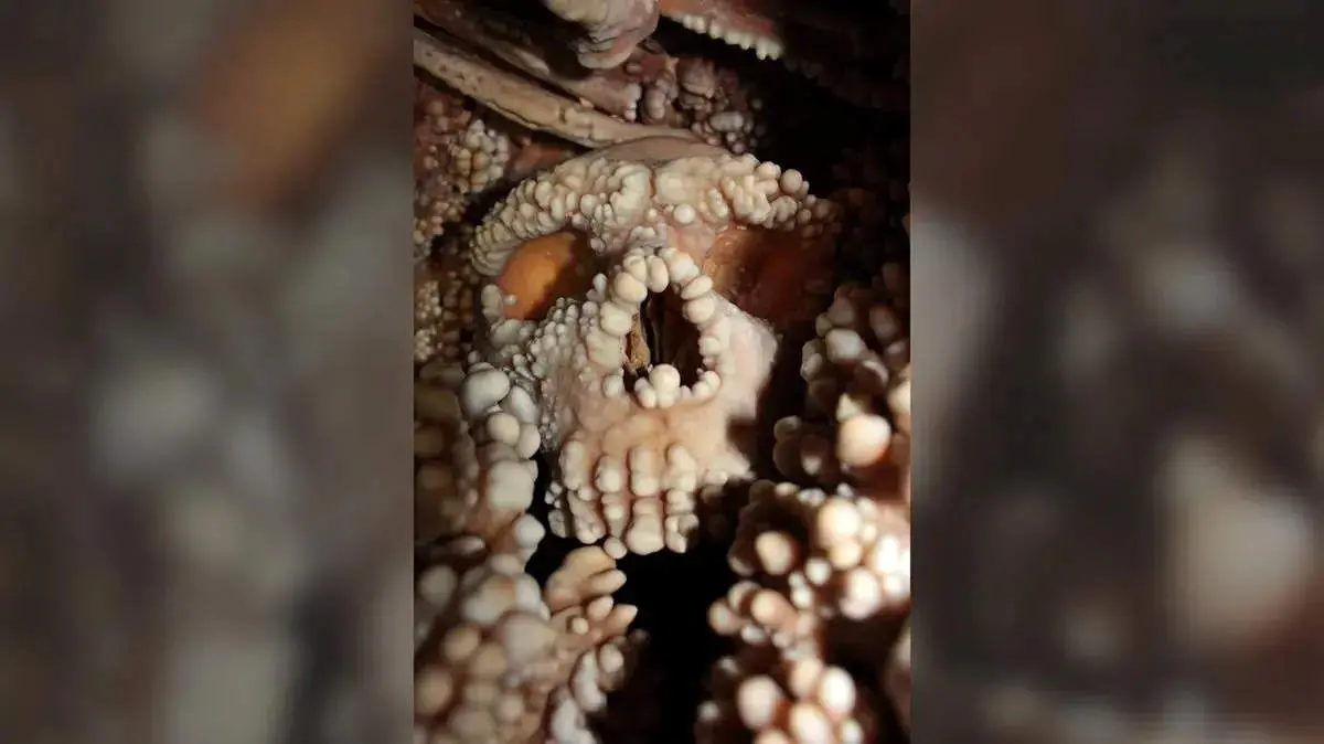 جمجمه‌ای ۱۳۰ هزارساله پرده از راز انسان‌های فراموش‌شده برداشت + عکس