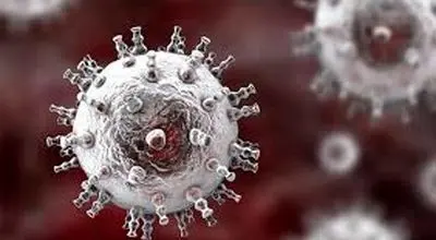 ویروس سرما خوردگی چینی چیست؟
