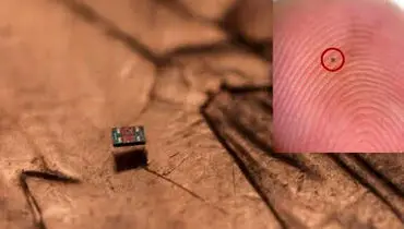 کوچک‌ترین ربات‌های شناگر جهان؛ از شن هم ریزتر + عکس