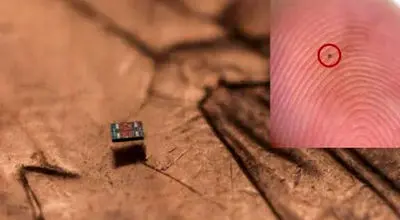 کوچک‌ترین ربات‌های شناگر جهان؛ از شن هم ریزتر + عکس