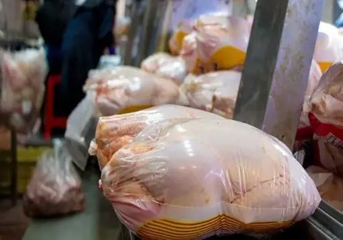 قیمت مرغ بالاتر از ۸۰ هزار تومان تخلف است
