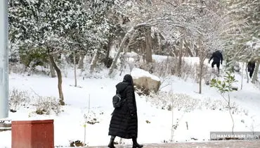 برف و باران در 26 استان کشور