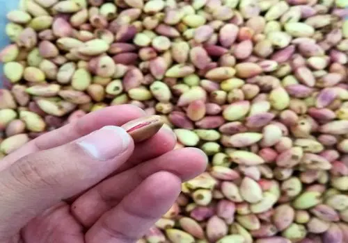 قیمت پسته، تخمه، آجیل و خشکبار/ جدول