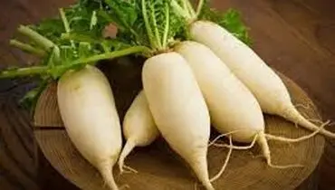 خواص ترب برای کاهش فشار خون
