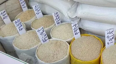 قیمت برنج وارداتی هندی و پاکستانی اعلام شد