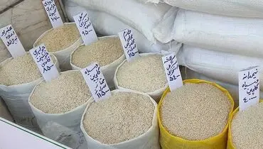 قیمت برنج وارداتی هندی و پاکستانی اعلام شد
