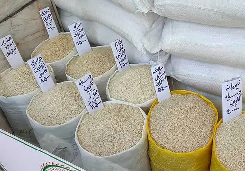 قیمت برنج وارداتی هندی و پاکستانی اعلام شد