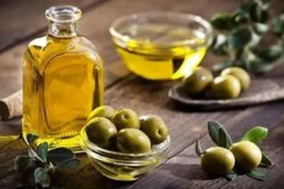 زیتون؛ میوه‌ای که سلامت را به سفره‌های ما می‌آورد