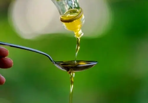 پشت پرده علت کمبود روغن خوراکی در بازار
