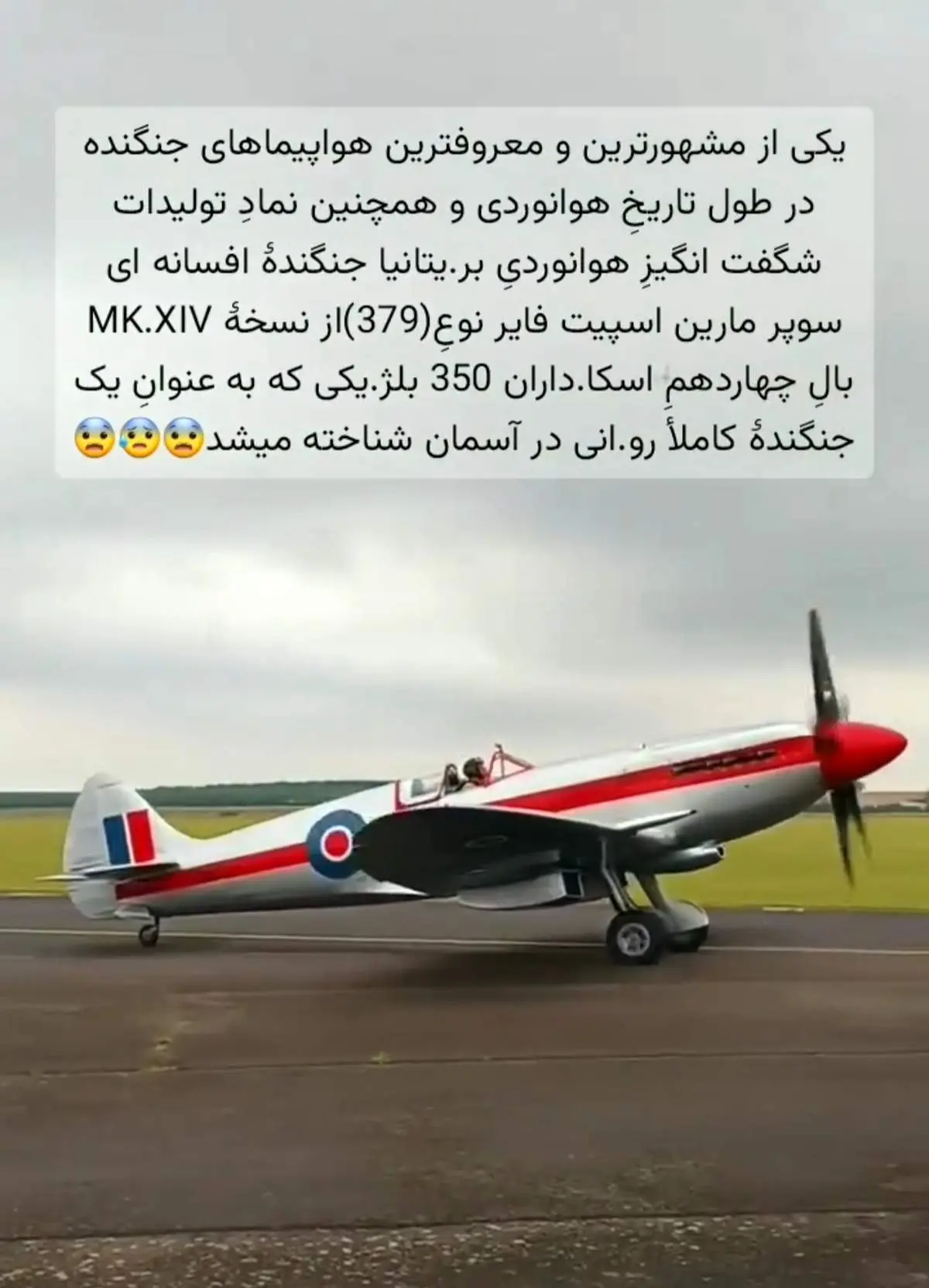 افسانه ای که پرواز کرد