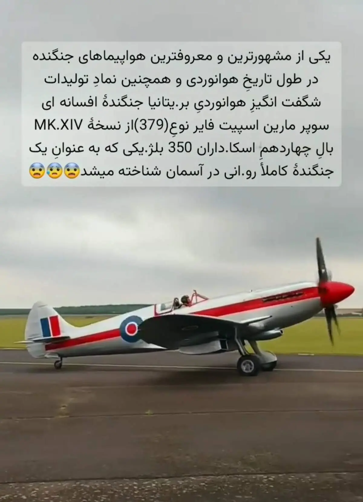 افسانه ای که پرواز کرد‌