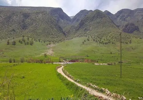 گشایش پروژه های درمانی،حمایتی و اشتغال زا در پهنه کرمان