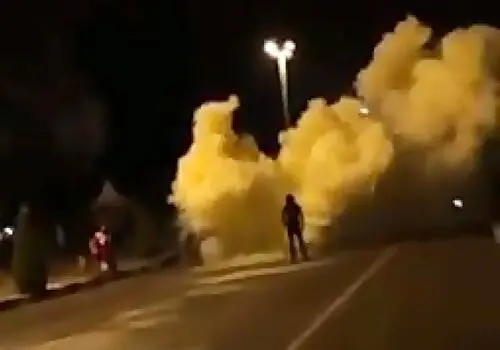 پرسه ۴۰۰ هزار سگ ولگرد در استان تهران