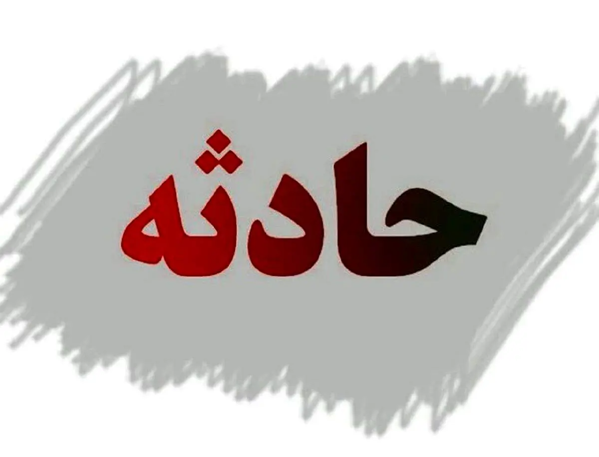 غافلگیر شدن صاحبخانه با دیدن 100 مار سمی در خانه اش + عکس