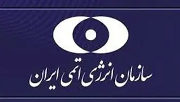 انتقاد سازمان انرژی اتمی  از انفعال آژانس نسبت به حمله به تاسیسات هسته‌ای ایران
