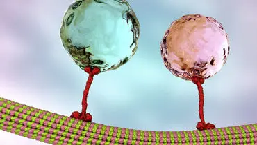کینزین؛ ربات مینیاتوری که احساساتت را حمل می‌کند+ فیلم 