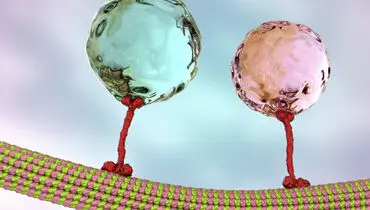 کینزین؛ ربات مینیاتوری که احساساتت را حمل می‌کند+ فیلم 
