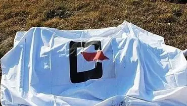 قتل یک جوان به دست مرد قصاب 
