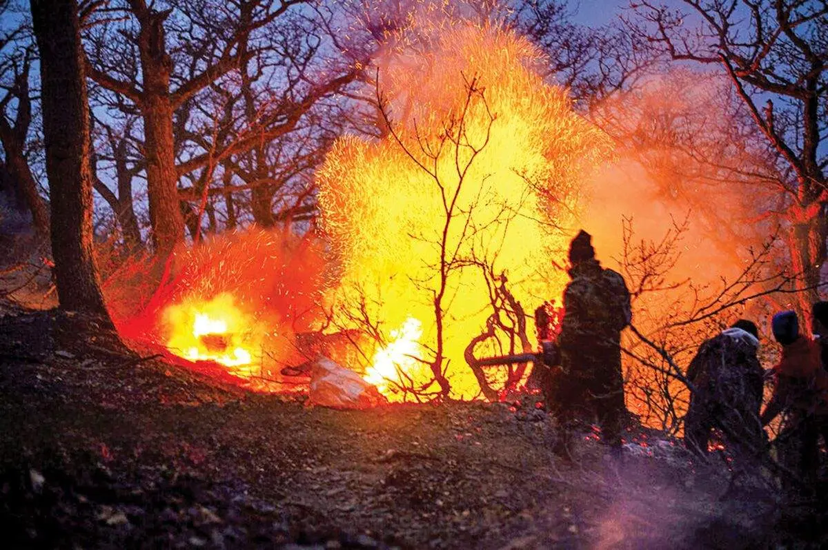 آخرین وضعیت جنگل‌های الیت پس از آتش‌سوزی