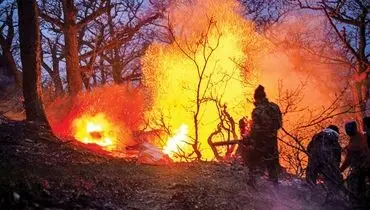 آخرین وضعیت جنگل‌های الیت پس از آتش‌سوزی