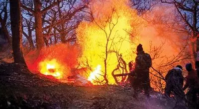 آخرین وضعیت جنگل‌های الیت پس از آتش‌سوزی