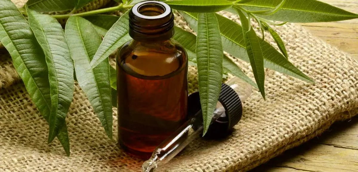آیا روغن درخت چای برای درمان موثر آکنه و قارچ پا کمک می‌کند؟