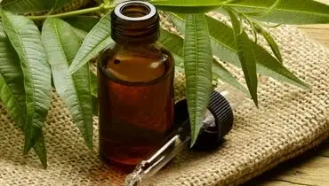 آیا روغن درخت چای برای درمان موثر آکنه و قارچ پا کمک می‌کند؟