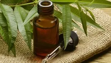 آیا روغن درخت چای برای درمان موثر آکنه و قارچ پا کمک می‌کند؟