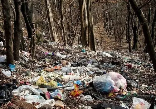 زباله را از شیشه خودرو به طبیعت پرتاب نکنیم