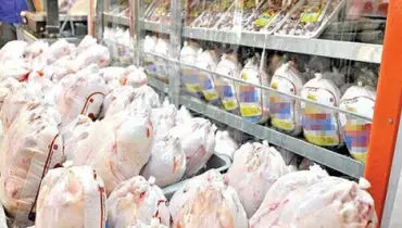 قیمت انواع مرغ ۱۲ آبان ۱۴۰۴
