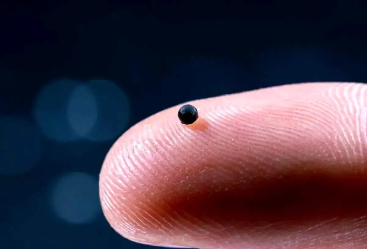 تحولی در پزشکی: انتقال مستقیم دارو به مغز با ربات‌های مینیاتوری