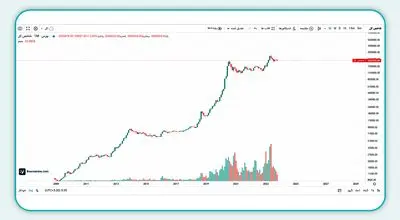 انفجار ورود پول حقیقی؛ رکوردشکنی ۱۸۹۳ میلیارد تومانی در روز نزولی شاخص کل

