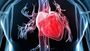 روماتیسم قلبی چیست و چه خطراتی دارد؟

