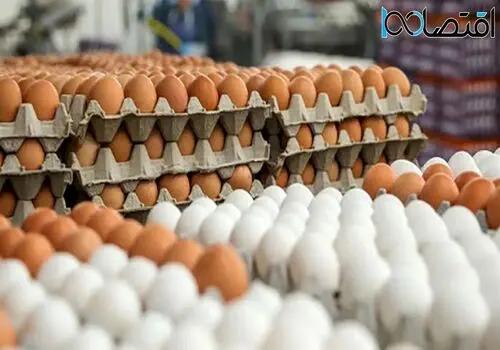 هرشانه تخم مرغ چند؟
