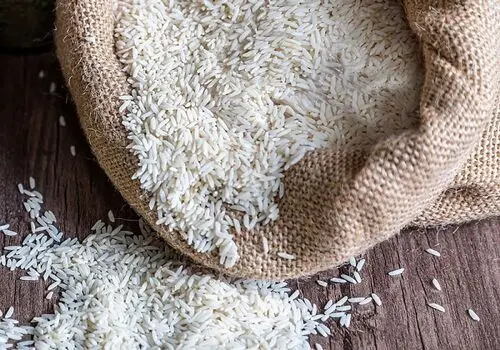 برنج ایرانی در مسیر گرانی/ از مزرعه تا بازار چه گذشت؟

