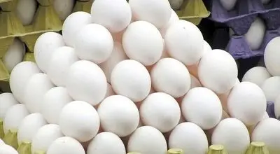 قیمت جدید تخم مرغ اعلام شد