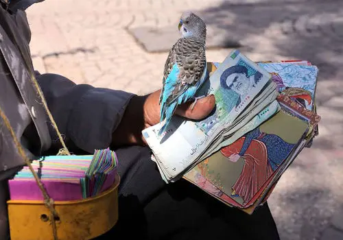 فال حافظ امروز دوشنبه ۱۷ شهریور