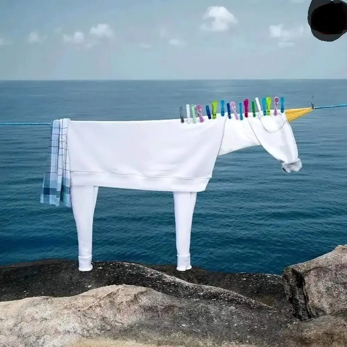 خلاقیت با «لباس‌های روی بند»! | عکس
