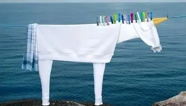 خلاقیت با «لباس‌های روی بند»! | عکس
