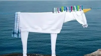 خلاقیت با «لباس‌های روی بند»! | عکس
