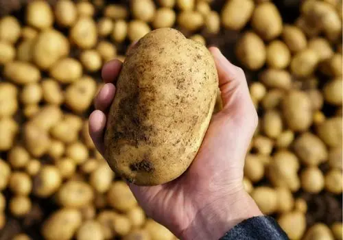 این صبحانه قند خون را کاهش میدهند
