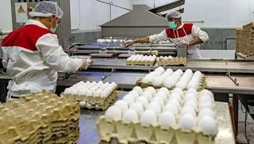 تخم‌مرغ گران شد؛ آماده‌باش بازار پیش از ماه رمضان